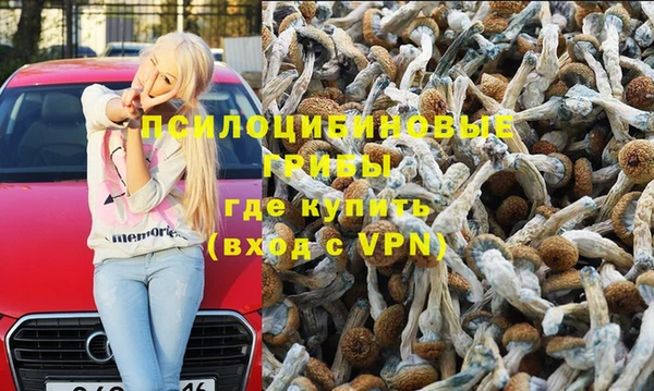 крисы Абдулино