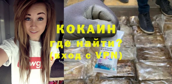 дживик Михайловск