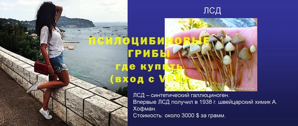 крисы Абдулино